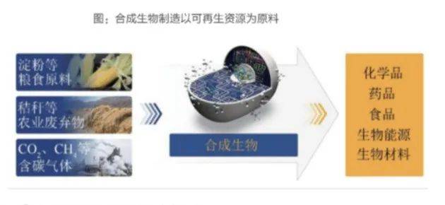 投融资半月谈 | 合成生物学,如何打开了食品饮料新世界的大门?